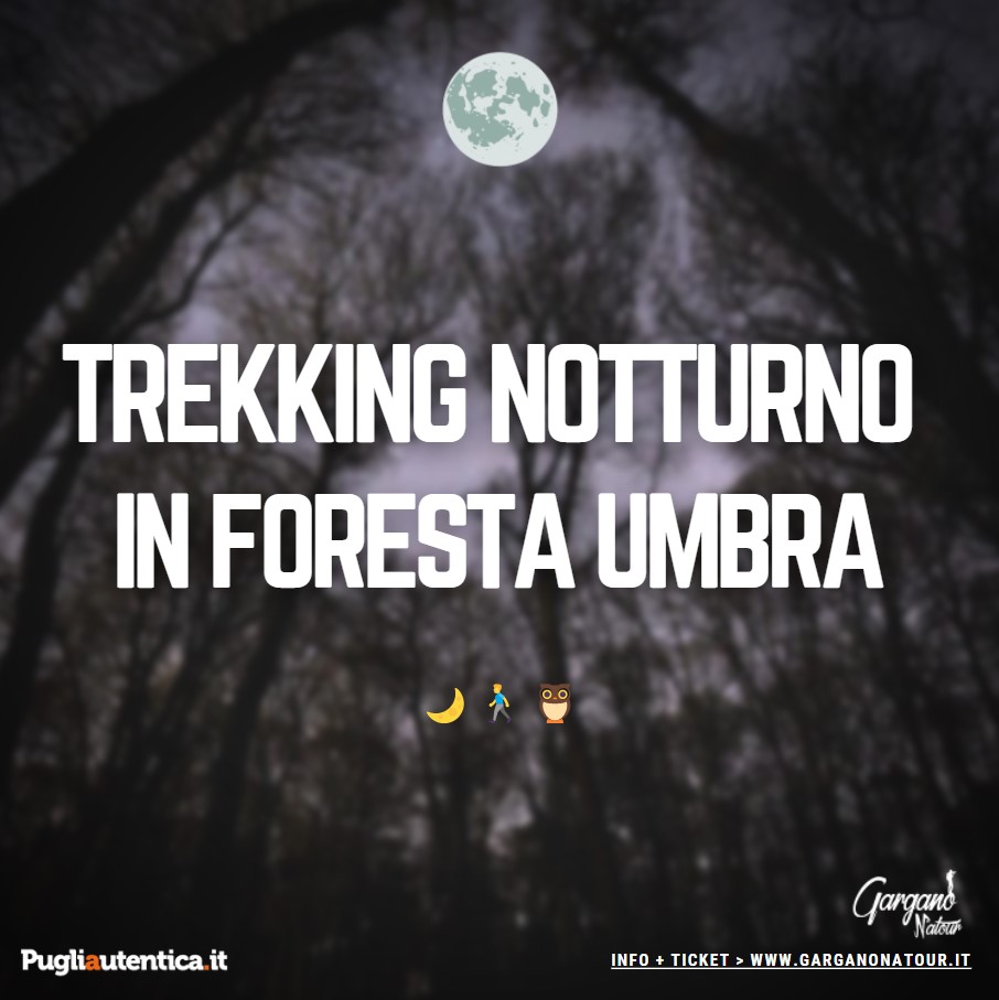 Gargano, Garganonatour: trekking notturno in Foresta Umbra
