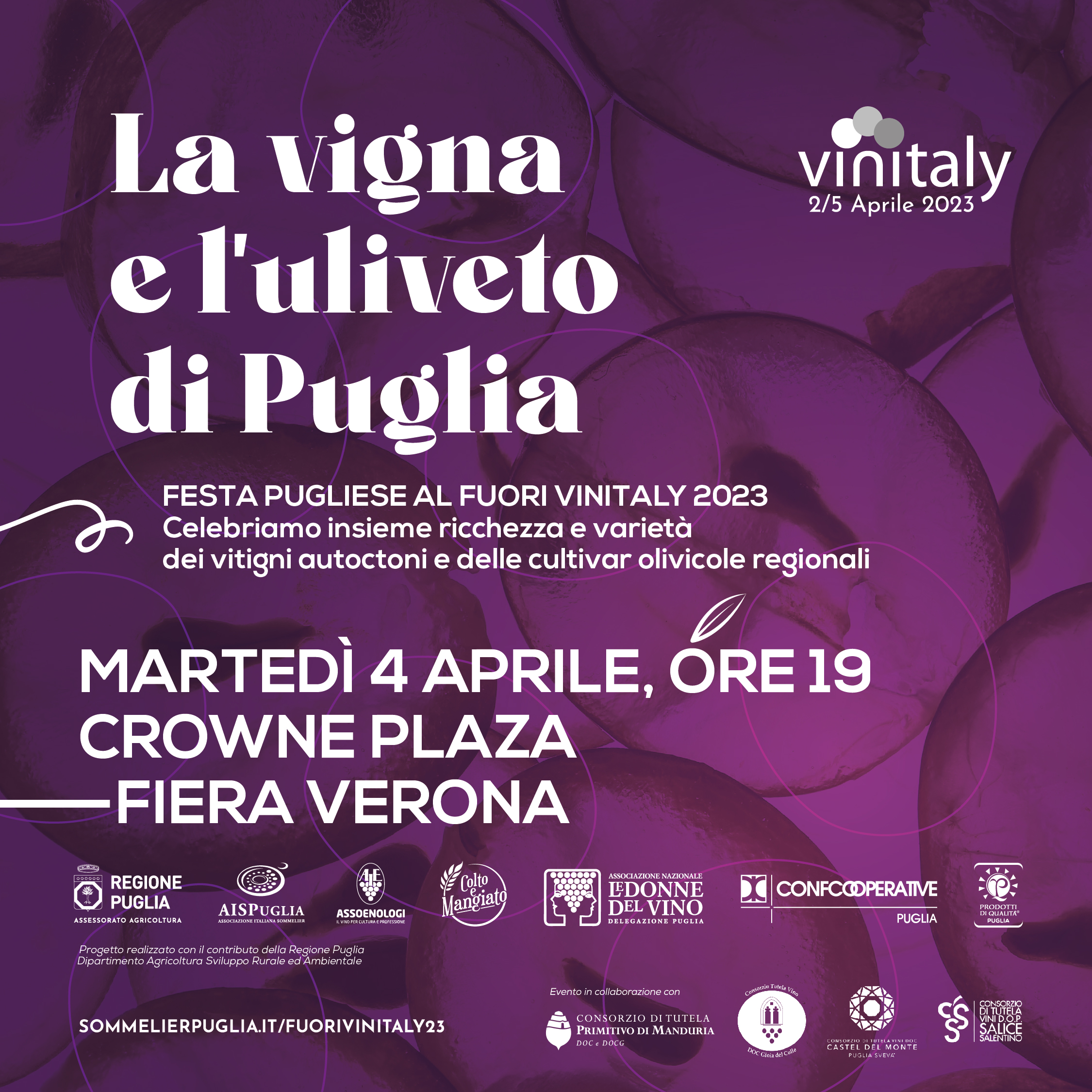Vinitaly, AIS Puglia: la vigna e l'uliveto di Puglia 