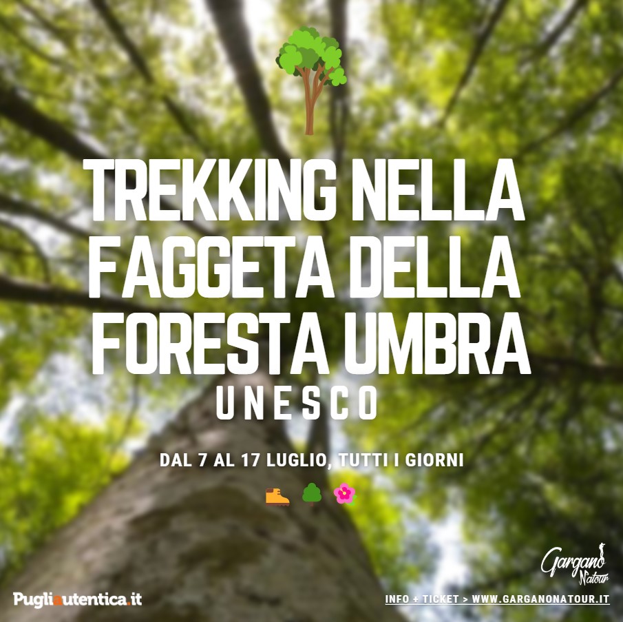 Gargano, Garganonatour: trekking nella faggeta della Foresta Umbra
